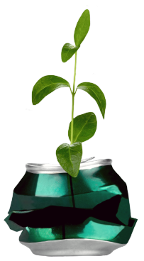 Plant in a can.